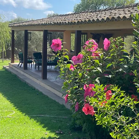 Exquisite In The Emporda Costa Brava Villa Vall-Llobrega