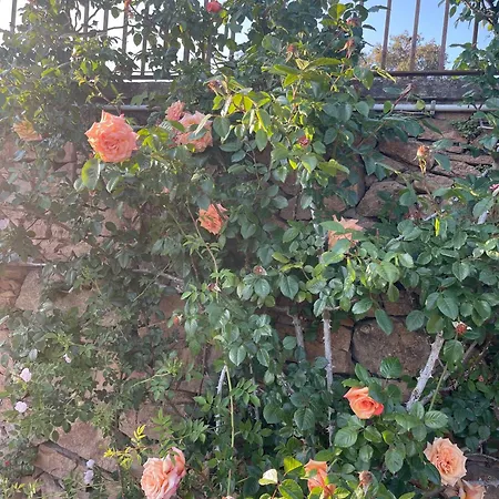 Exquisite In The Empordà Costa Brava Villa *